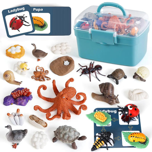 Life Cycle Toys for Kids - Life Science Education Kits - 24 Pieces Animal Models STEM Learning Toys for 3-10 Year Old