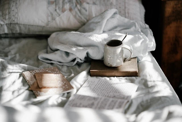 Cozy Reads Collection for the Ultimate Escape
