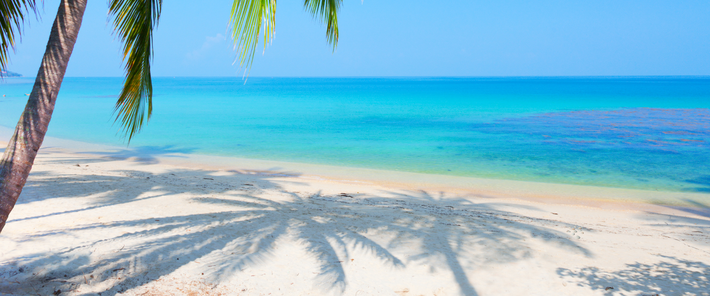 Single sided bookmarks ~ 2"X6"