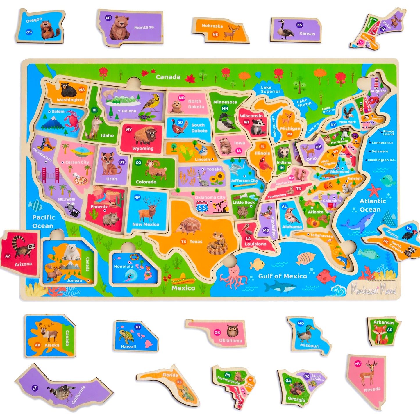 Montessori Mama Wooden USA Map Puzzle and World Continents and Oceans Map Puzzle (USA Map Puzzle)